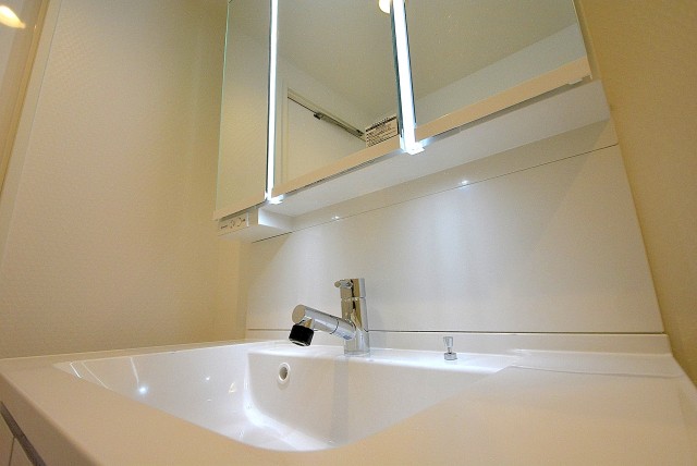 弦巻リハイム903 洗面