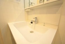 都立大バロンズコート 洗面