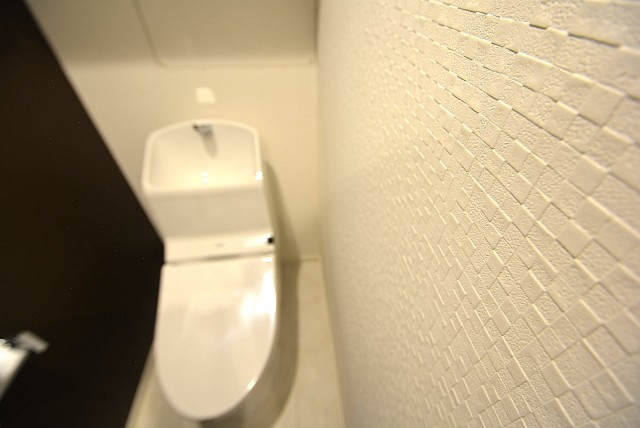 経堂セントラルマンション3F トイレ