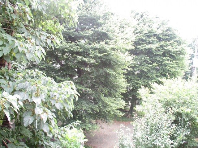 ファインライフ駒場