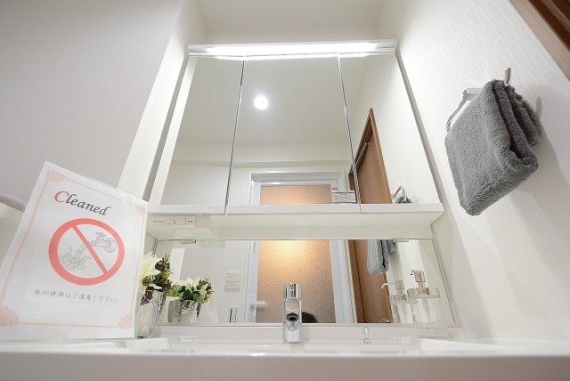 都立大バロンズコート 洗面