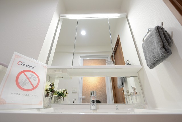 都立大バロンズコート 洗面