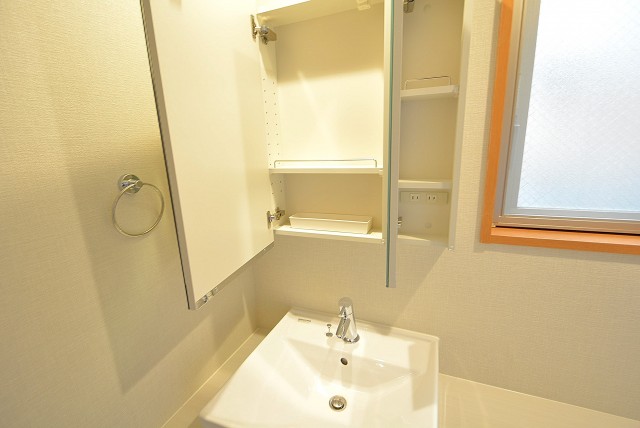 セボン柿の木坂 洗面