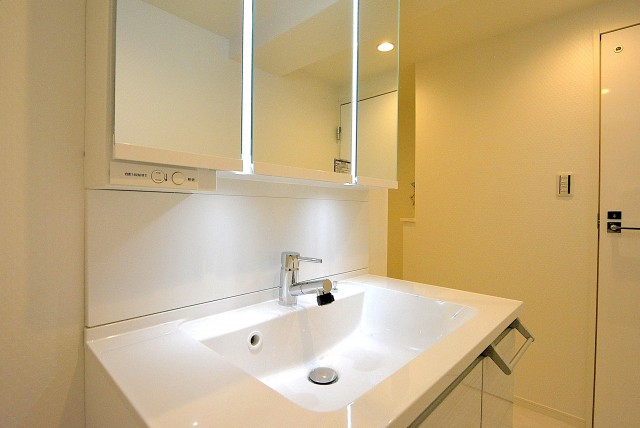 弦巻リハイム903 洗面