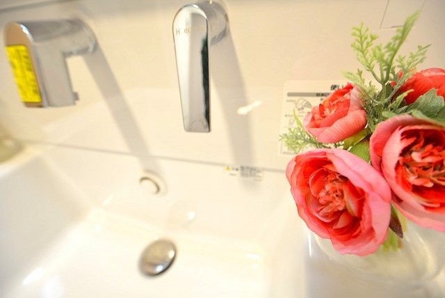 都立大第2コーポラス 洗面 