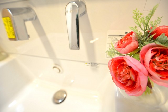 都立大第2コーポラス 洗面