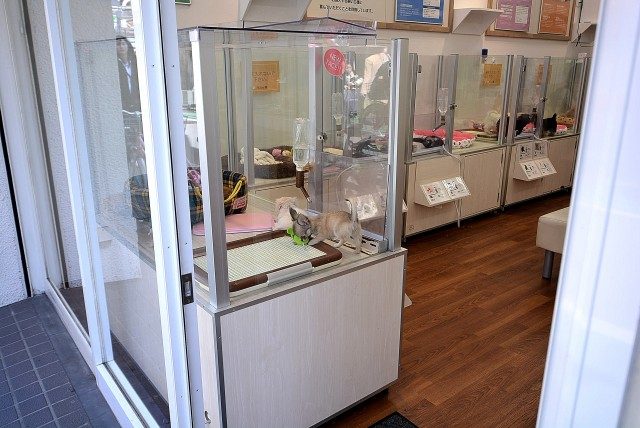 経堂セントラルマンション3F 周辺環境 