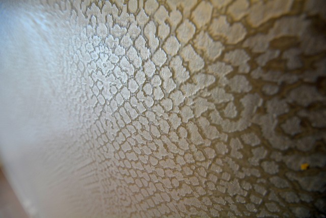 東海経堂マンション 洋室