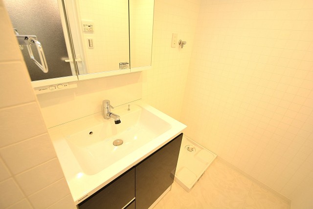 都立大バロンズコート 洗面