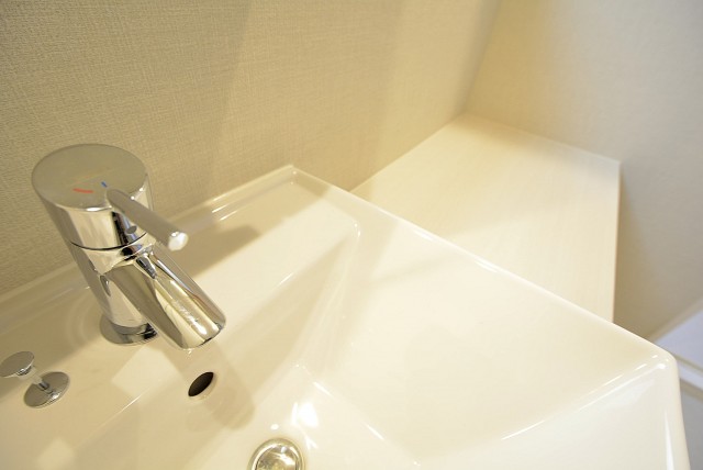 セボン柿の木坂 洗面