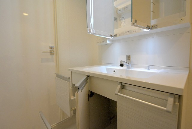 弦巻リハイム903 洗面