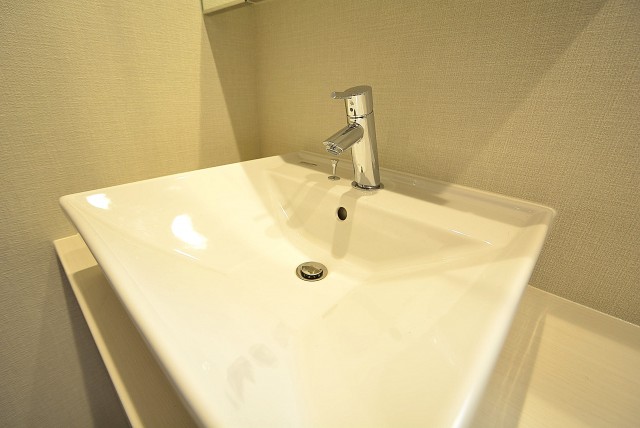 セボン柿の木坂 洗面