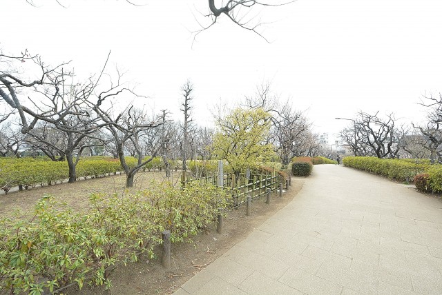 啓明宮前橋マンション 周辺環境 (14)