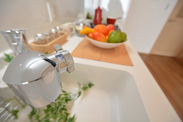 都立大第2コーポラス キッチン