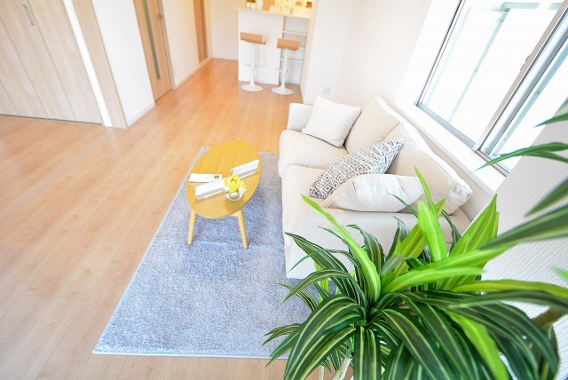 東海経堂マンション4F LD