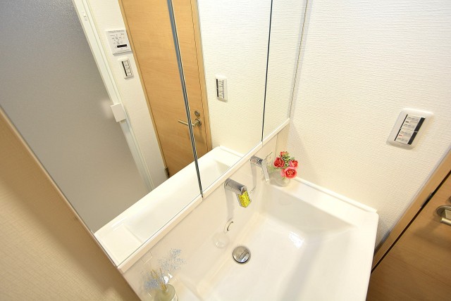 都立大第2コーポラス 洗面