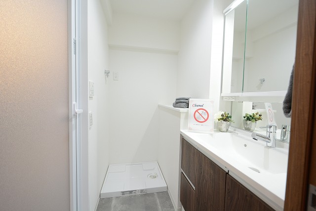 都立大バロンズコート 洗面