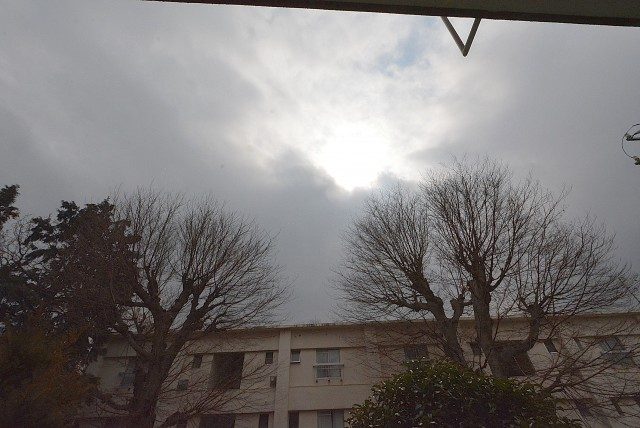 ファインライフ駒場2F バルコニー