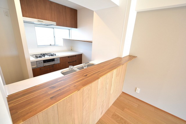 サンモア学芸大マンション LDK