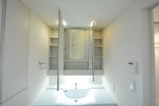 パークホームズ高津 洗面