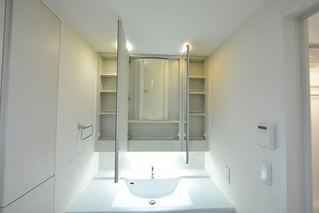 パークホームズ高津 洗面