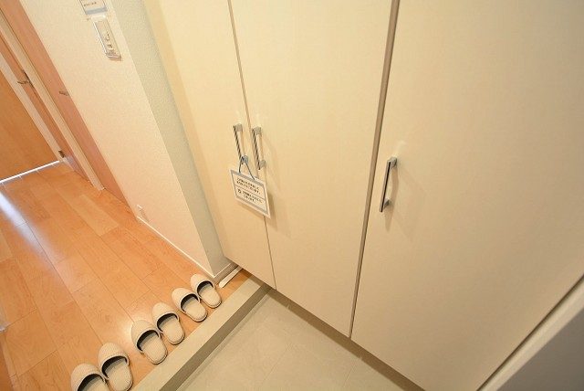 朝日パリオ溝の口 玄関 