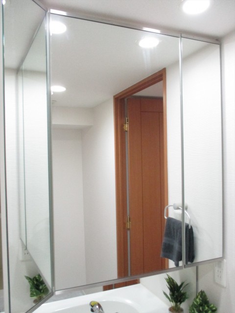 センチュリー巣鴨洗面所