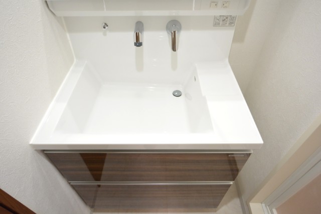 サンモア学芸大マンション 洗面室