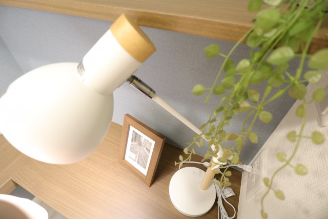 パレス三條 洋室