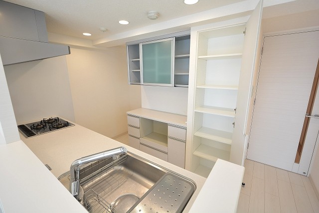 パークホームズ高津 キッチン