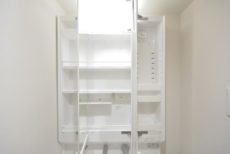 サンモア学芸大マンション 洗面室