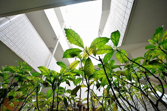 パークホームズ高津 エントランス