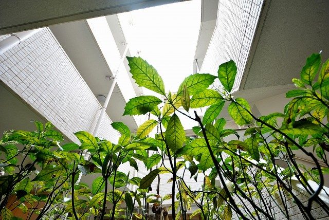 パークホームズ高津 周辺環境