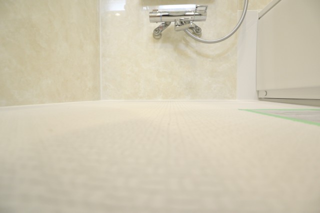 パレス三條 バスルーム