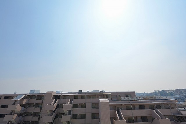 パークホームズ高津 LD バルコニー