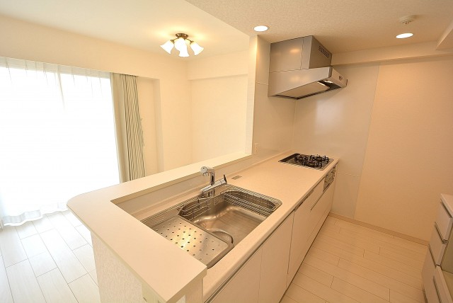 パークホームズ高津 キッチン