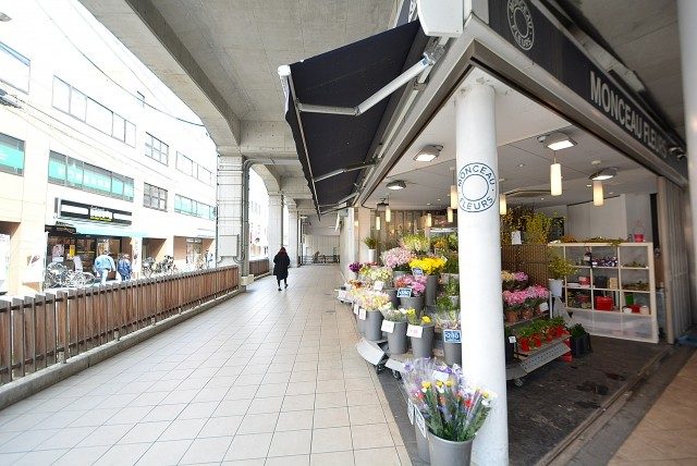 パークホームズ高津 周辺環境