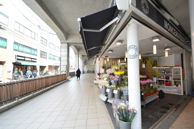 パークホームズ高津 周辺環境