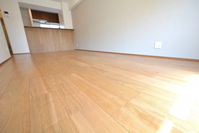 サンモア学芸大マンション LDK