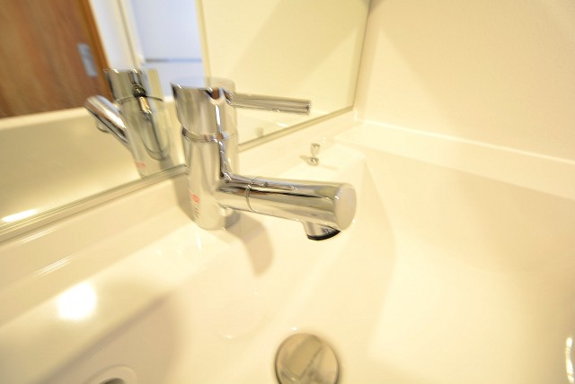 サンモア学芸大マンション 洗面