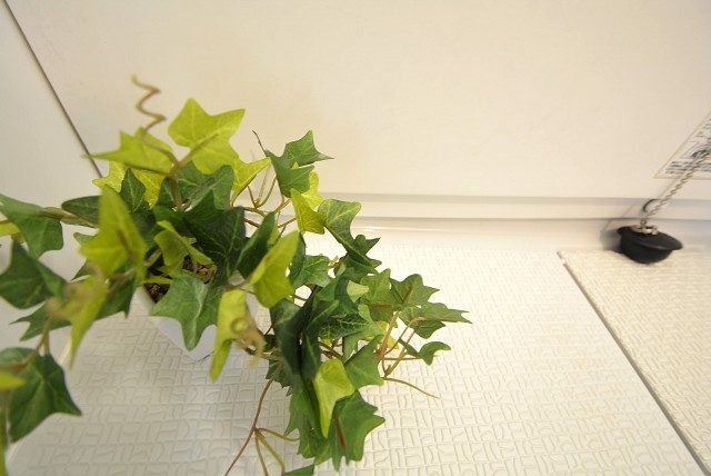 サンヨースカイハイツ バス