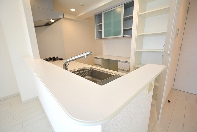 パークホームズ高津 キッチン