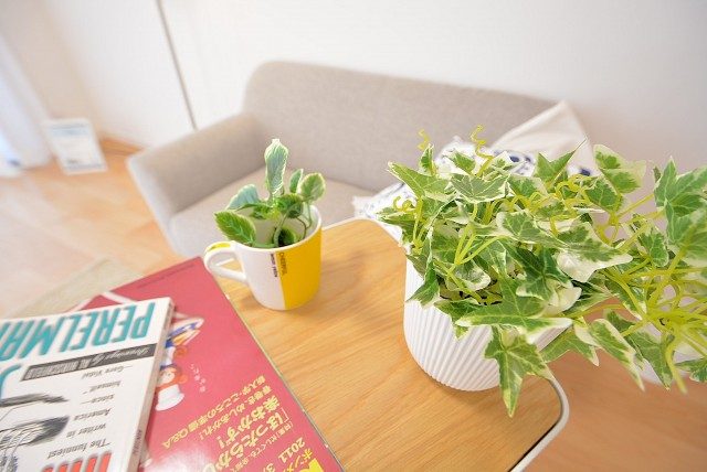 朝日パリオ溝の口 LD