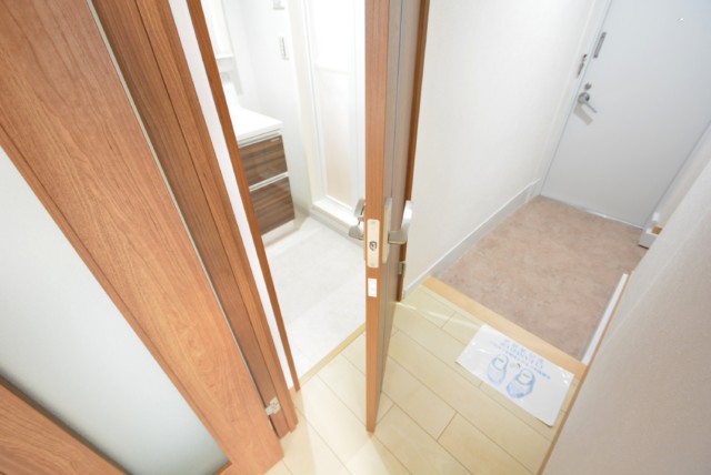 サンモア学芸大マンション 洗面室