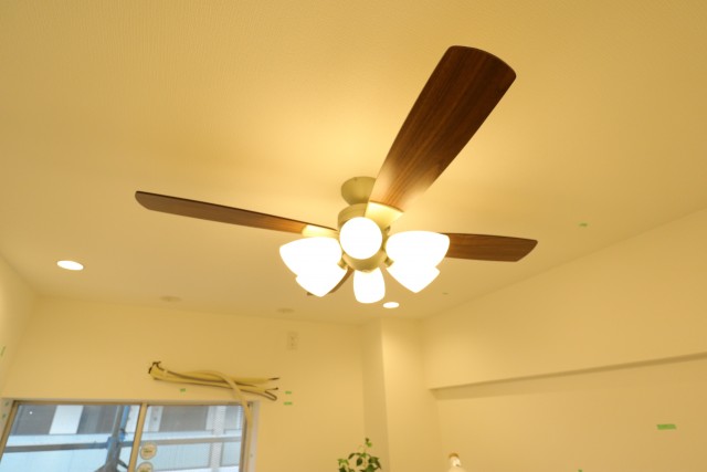 パレス三條 リビング