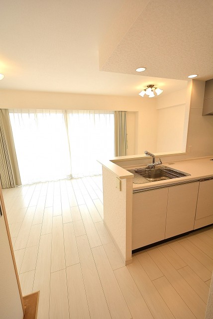 パークホームズ高津 キッチン
