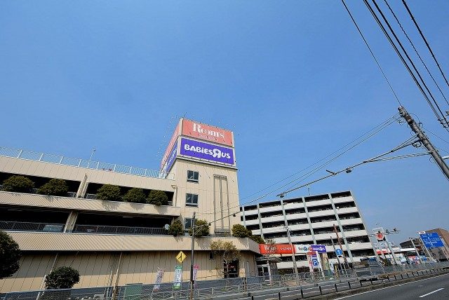 パークホームズ高津 周辺環境