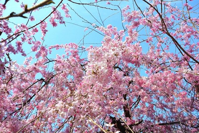 朝日パリオ溝の口 周辺環境