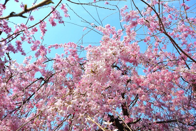 朝日パリオ溝の口 周辺環境