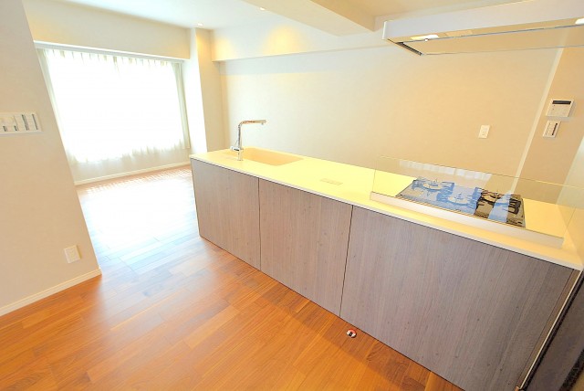 麻布東町マンション LD